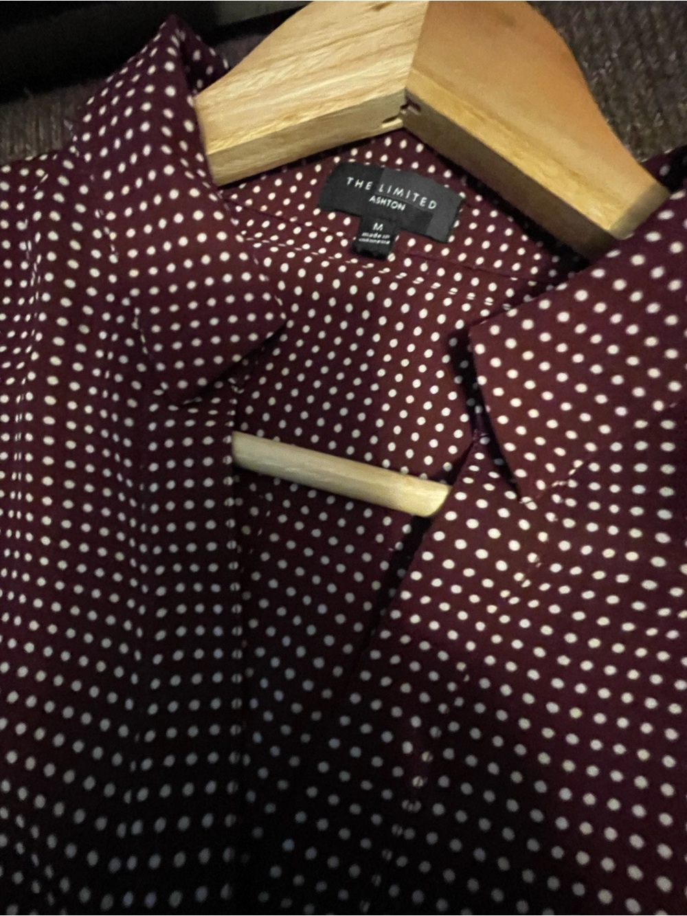 The Limited Women's Burgundy Dot Button-Up Blouse-M